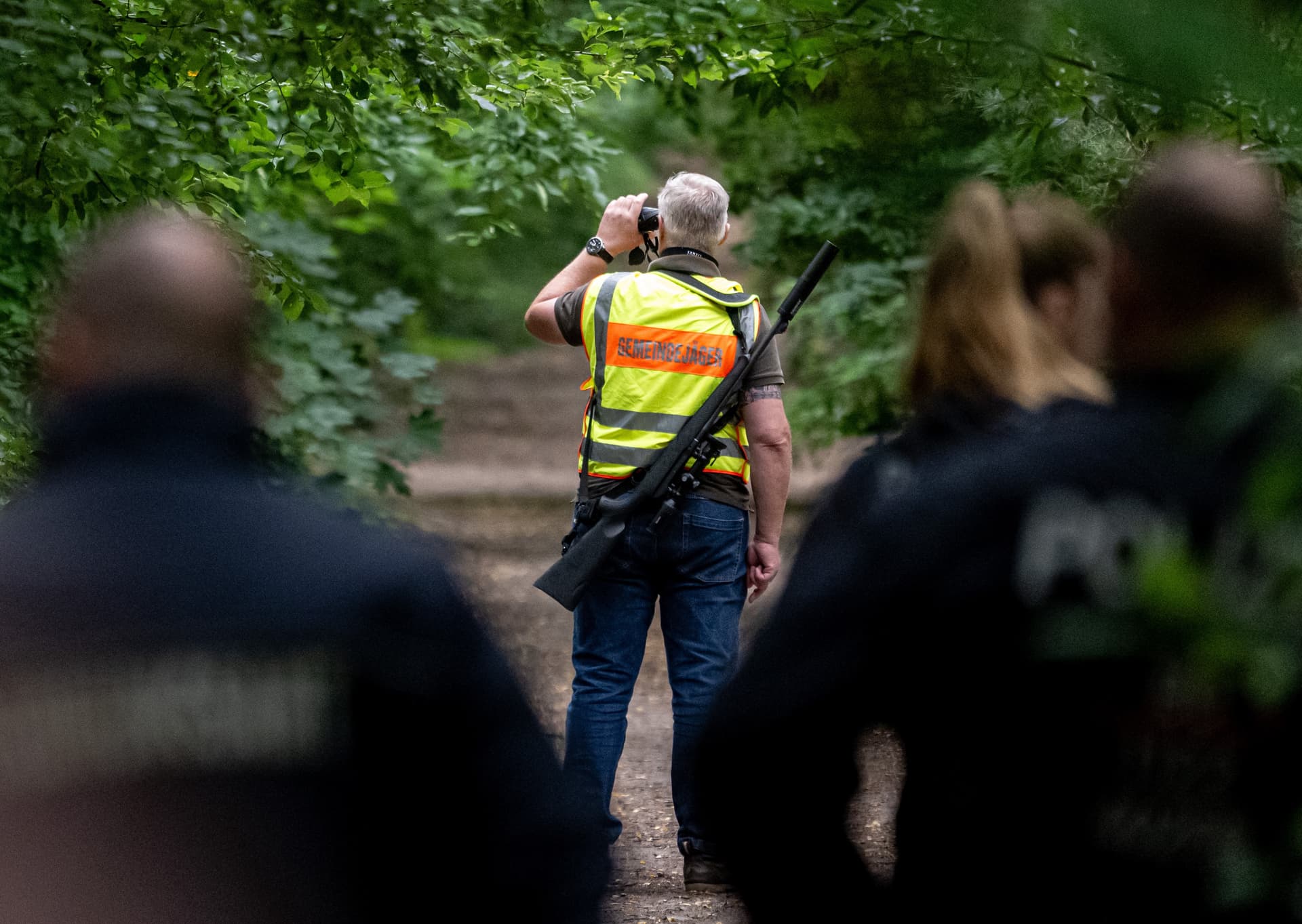 Die Suche nach dem mysteriösen Tier: Keine Löwin – aber was dann?