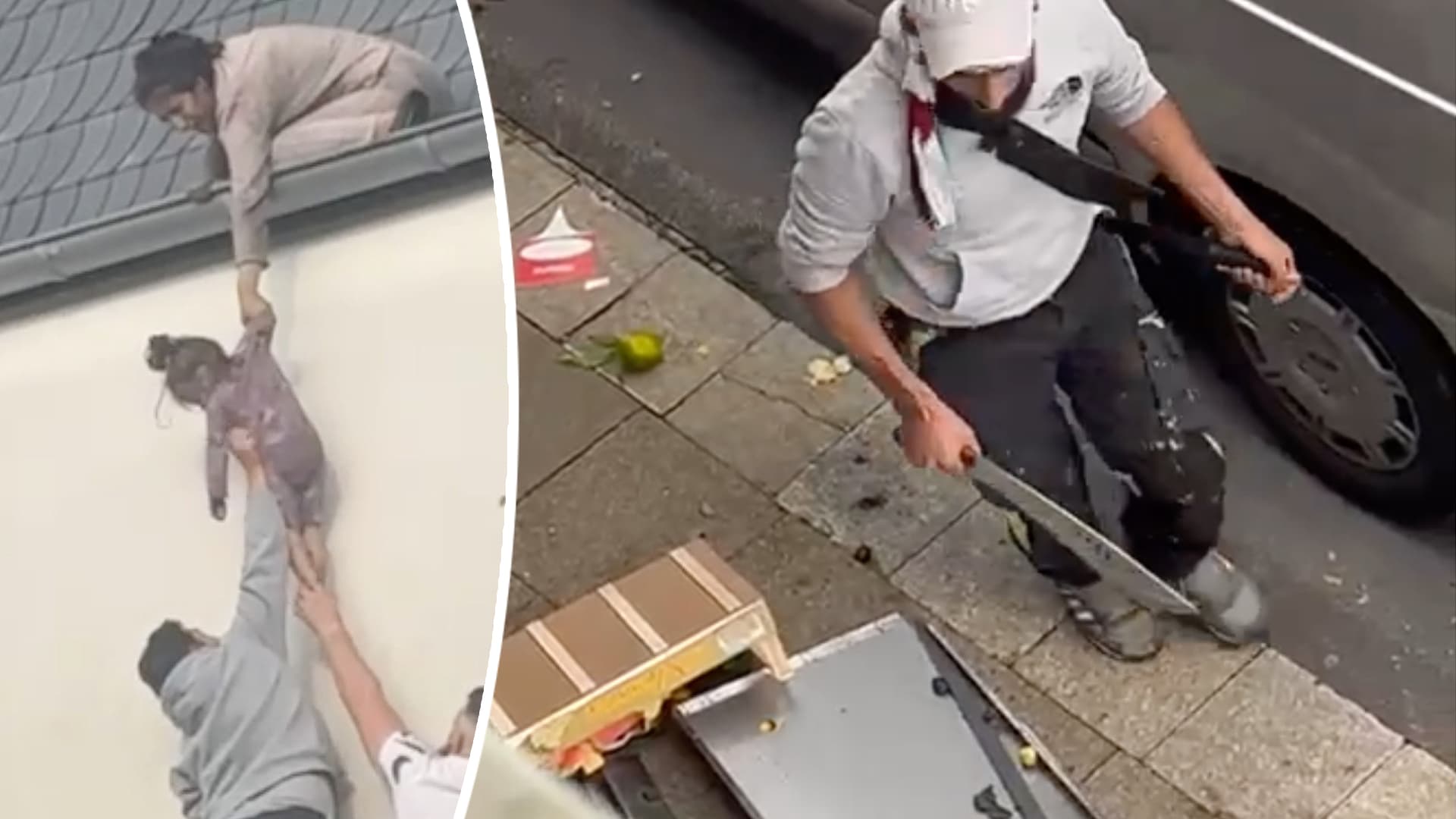 Syrer verübt Feuer- und Macheten-Anschlag, mehrere Kinder in Lebensgefahr, aber Medien und Politik vertuschen nur...