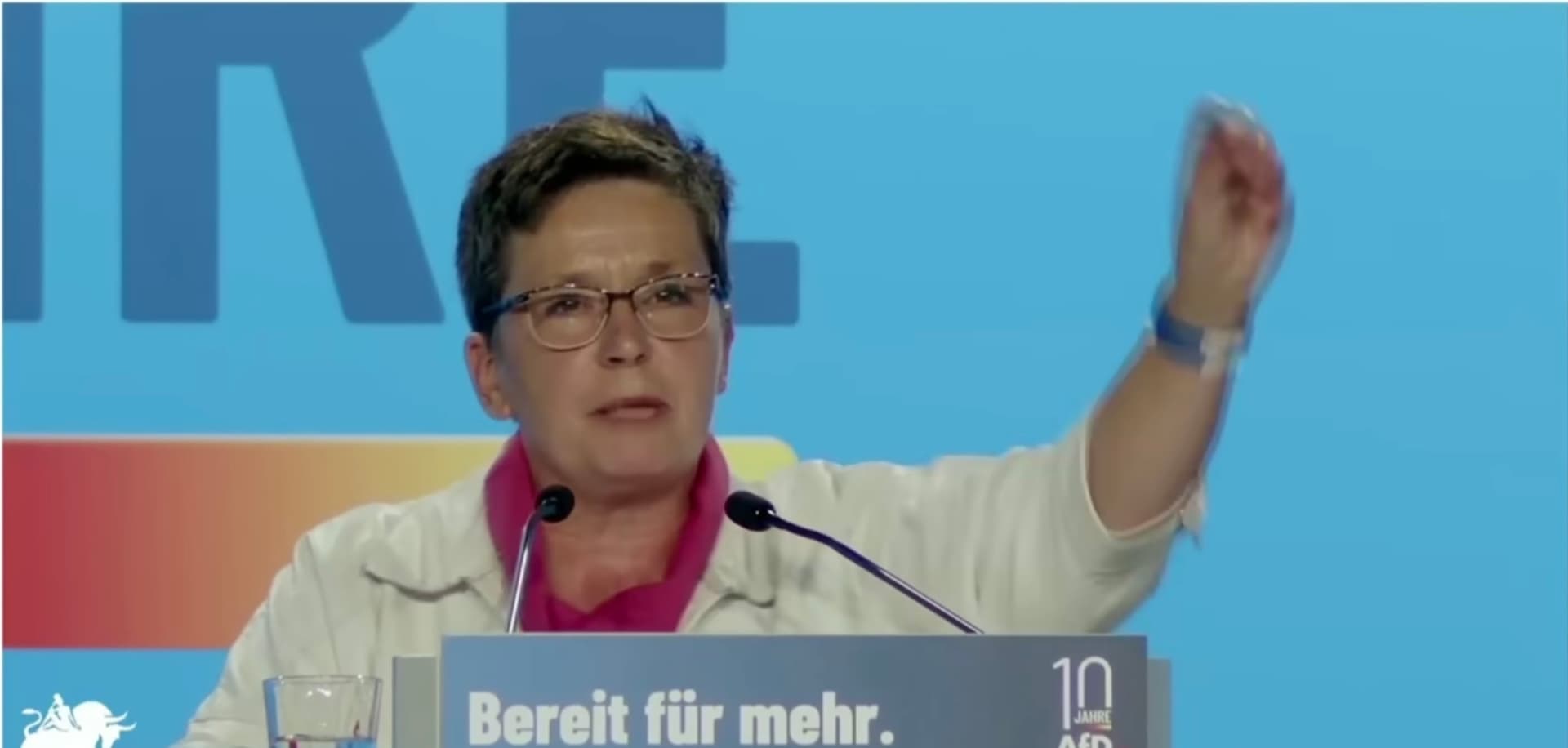 „Wo ist meine AfD?!“: Wut-Ausbruch beim AfD-Europaparteitag