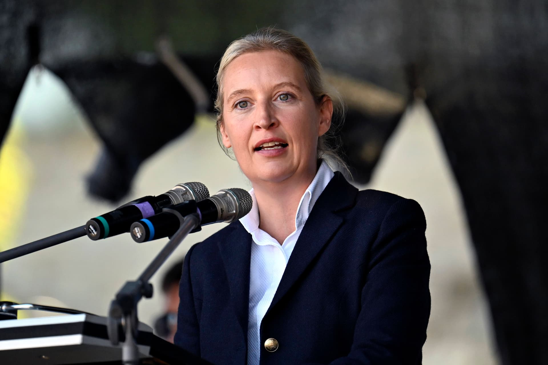 Alice Weidel: Wahlergebnis ist ein „Requiem auf diese Koalition“