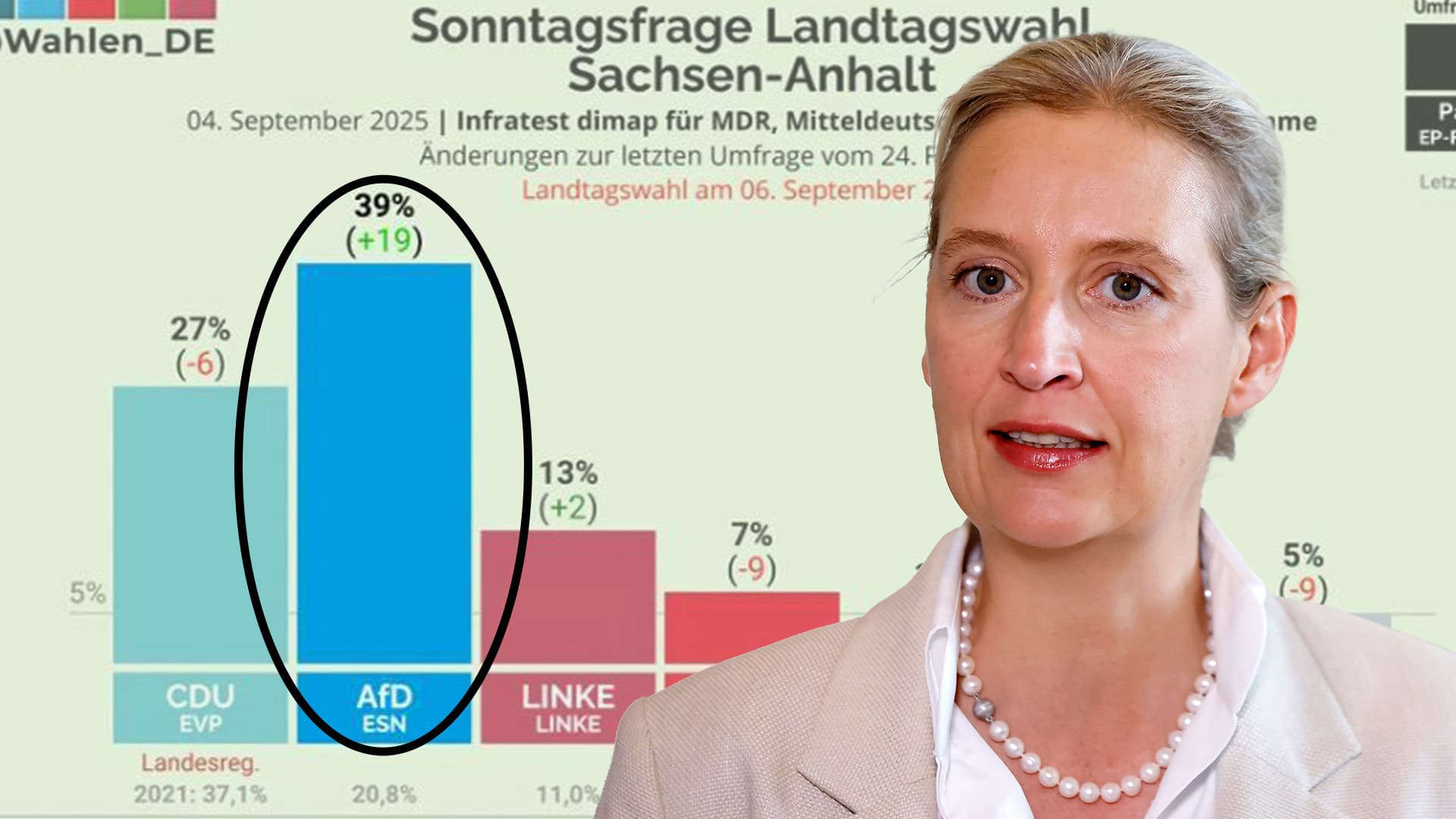 Umfrage-Beben vor Landtagswahl! AfD käme in Sachsen-Anhalt auf 39 Prozent