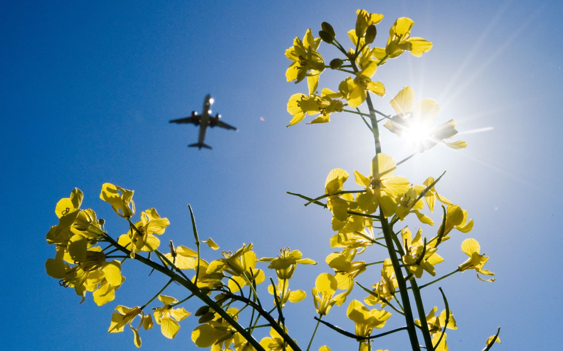 Hoch „Ulla“ kommt – plötzlich wird es Sommer in Deutschland!