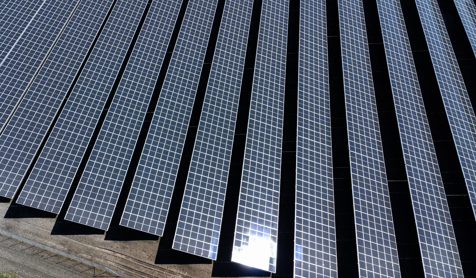 518 Fußballfelder Wald sollen weg für Solarstrom