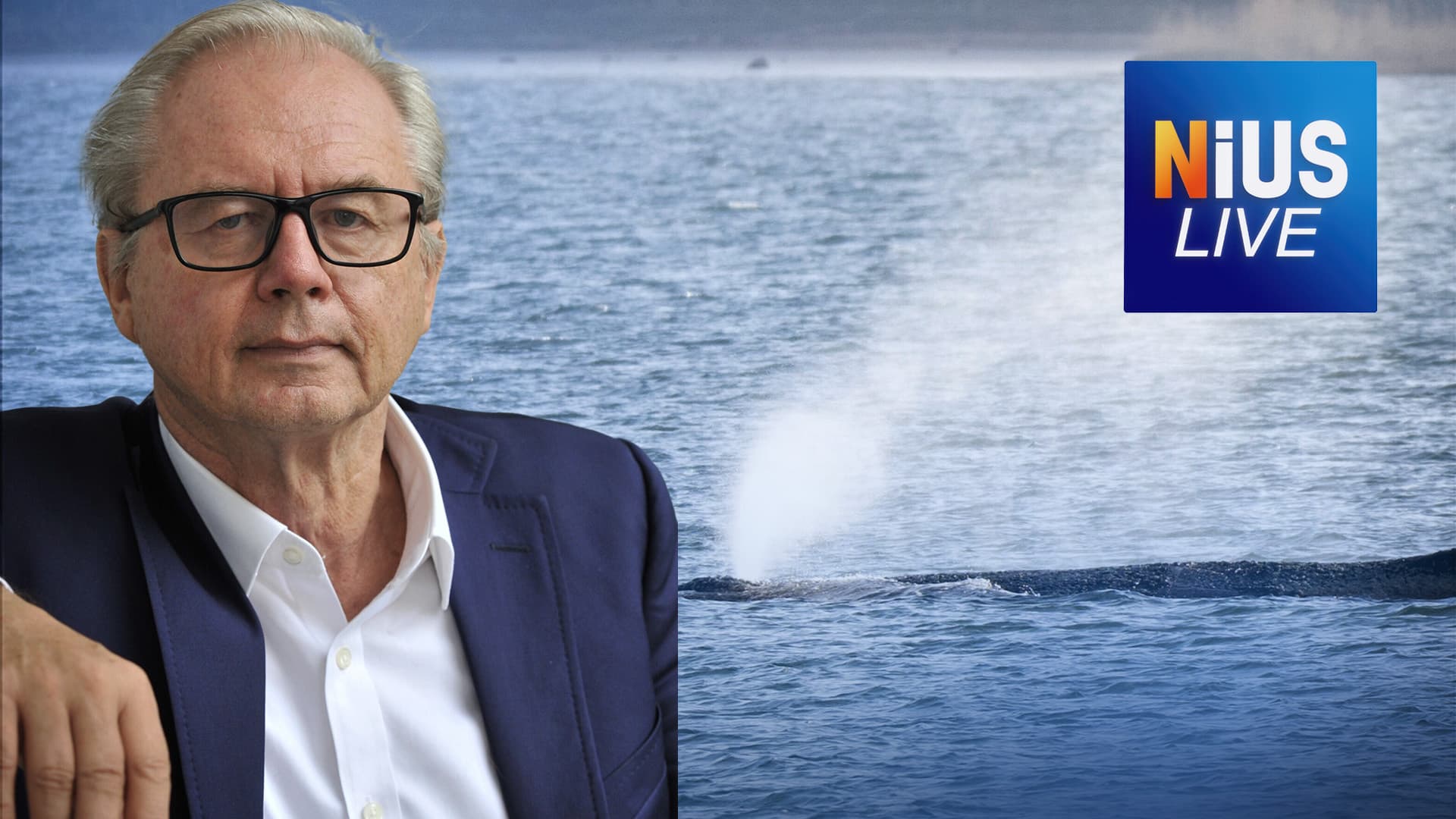„Dieser Wal ist ein Abbild dieser Gesellschaft in dieser Situation“