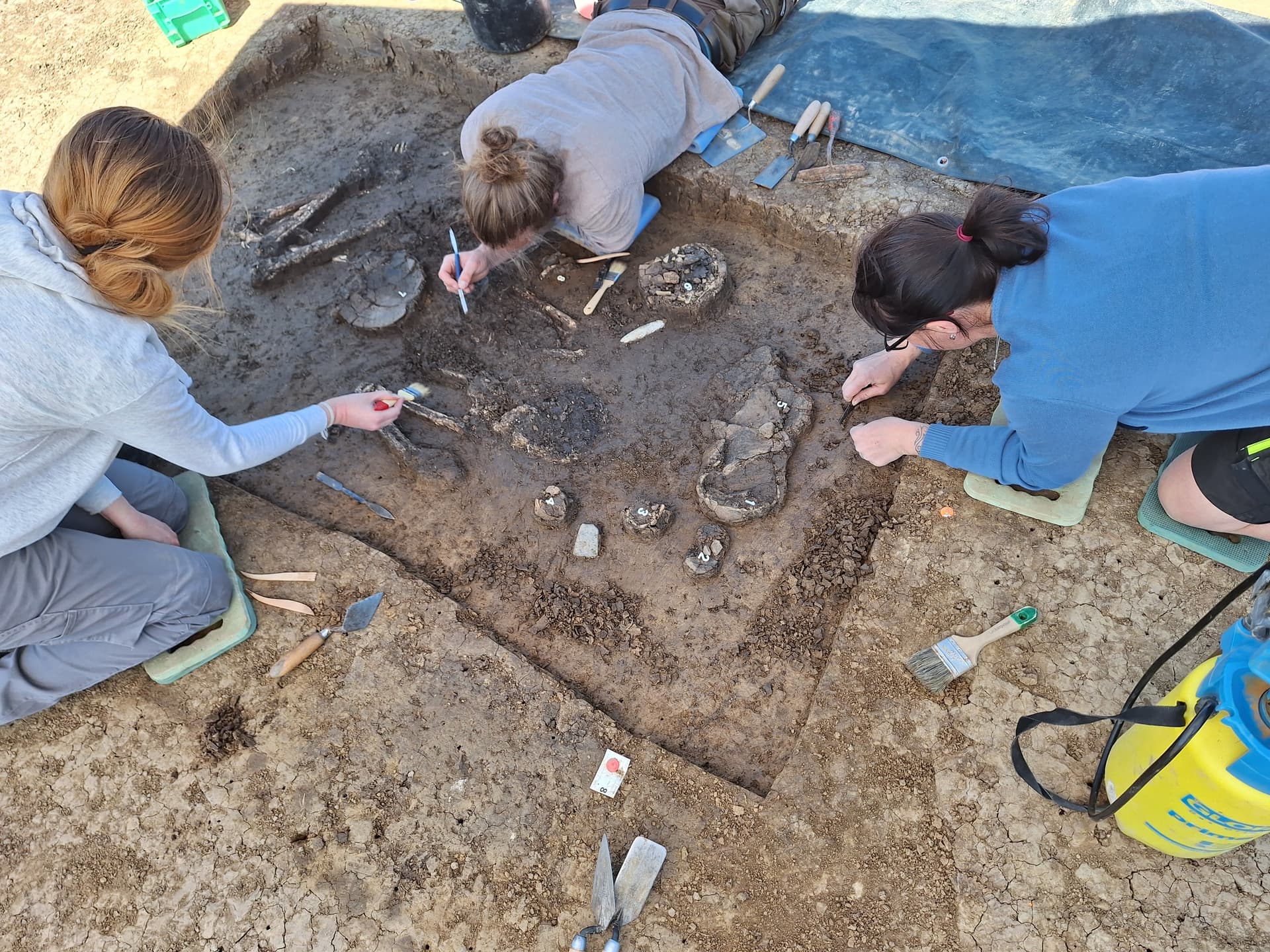 Sensationsfund in Niederbayern: 6800 Jahre altes Skelett ausgegraben