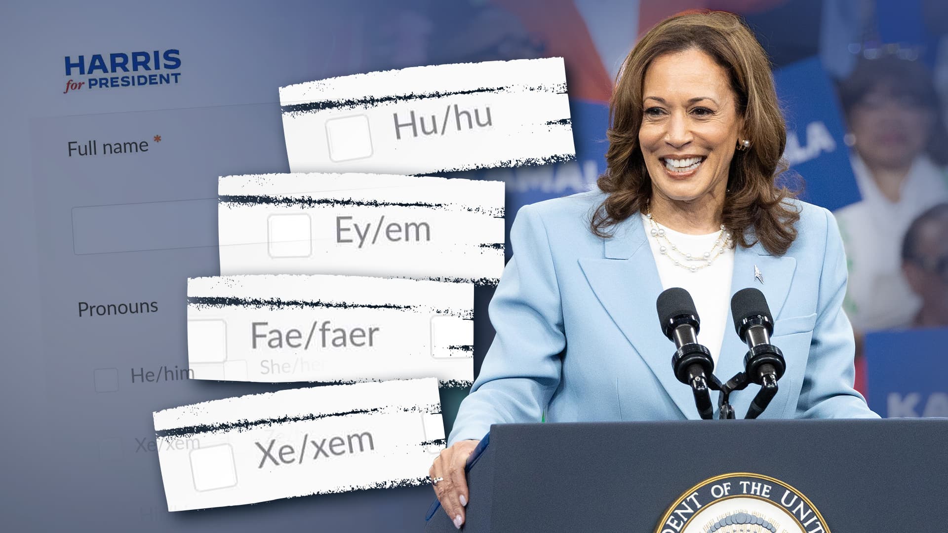 Diese ungewöhnlichen Pronomen kann man auswählen, wenn man sich bei Kamala Harris bewirbt