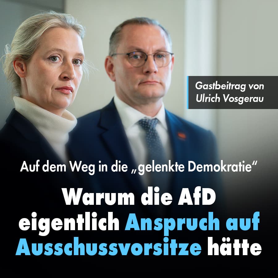 Auf dem Weg in die „gelenkte Demokratie“: Warum die AfD eigentlich Anspruch auf Ausschussvorsitze hätte