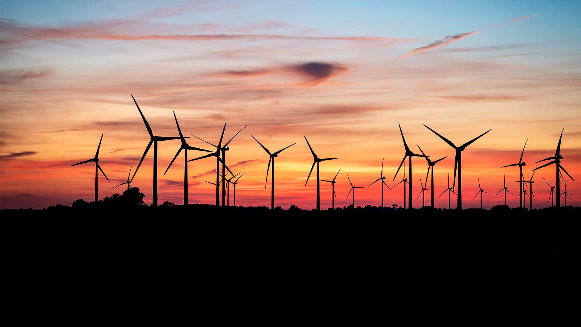 Wussten Sie, dass Strom-Import jetzt wichtiger ist als Windkraft? – Fünf Energiewahrheiten, die Sie sonst nirgendwo lesen