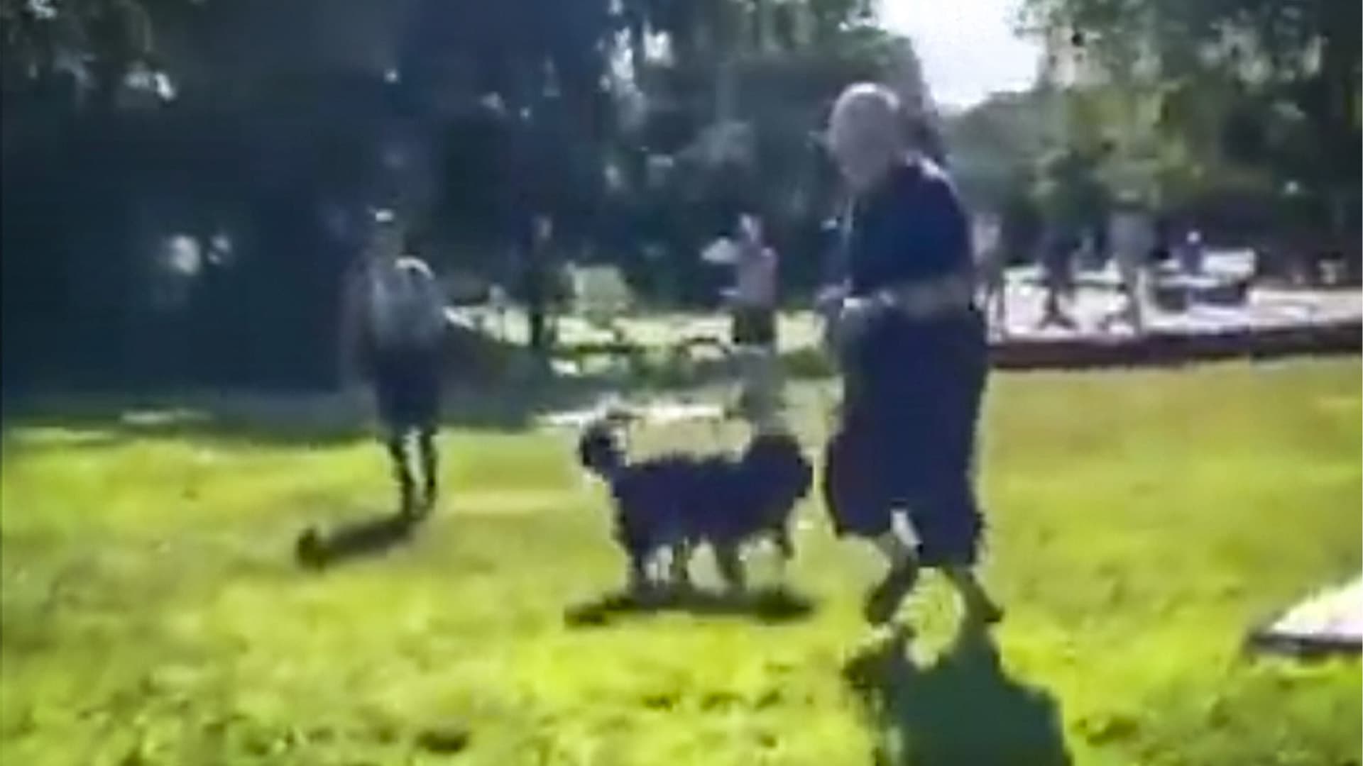 Weil er einen Davidstern trug: Antisemitische Messerattacke auf Mann im Gleisdreieckpark