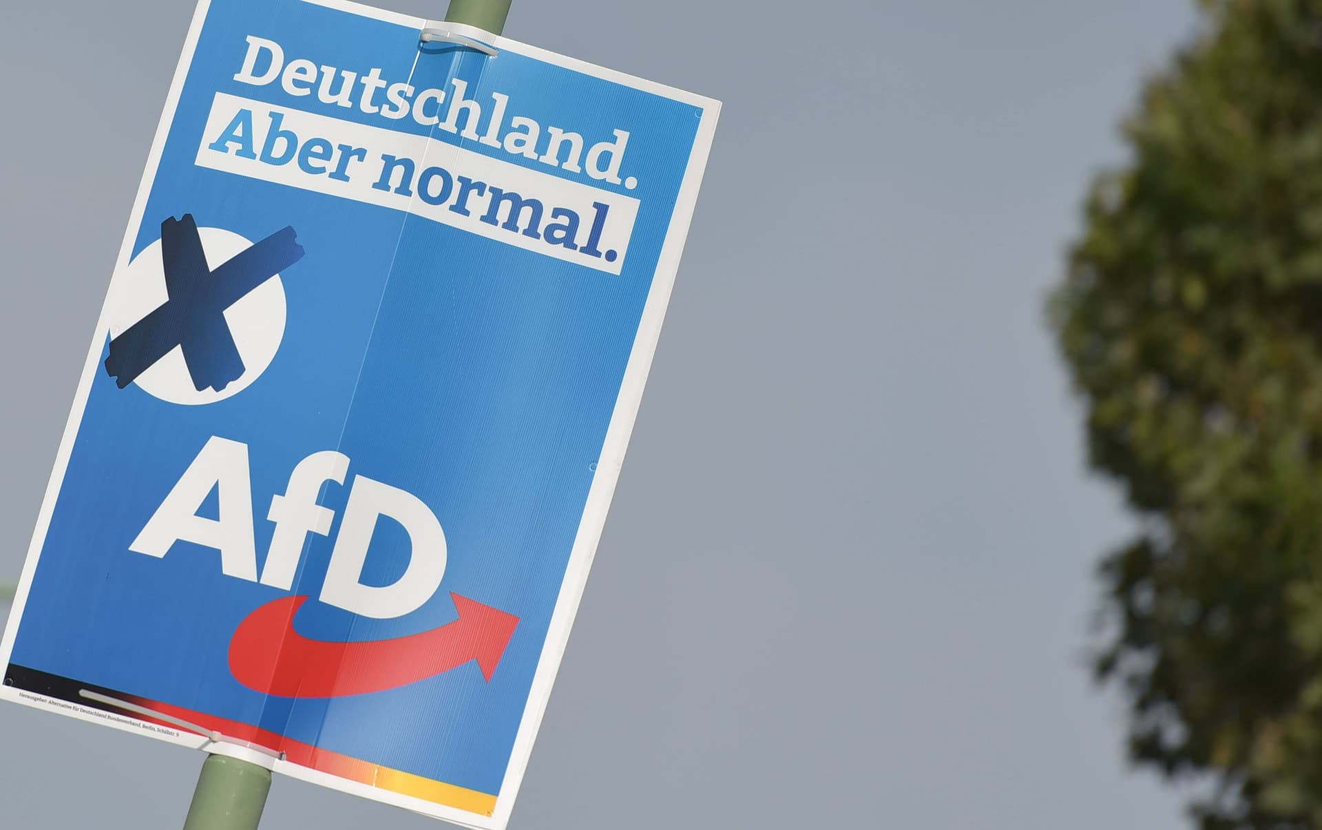 Neue Umfrage: 26 Prozent überlegen AfD zu wählen