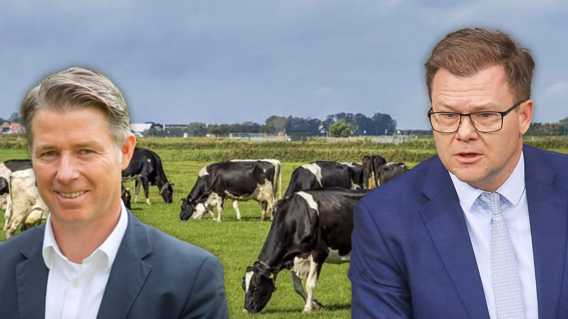 Umweltminister Schneider will Kühe züchten lassen, die weniger furzen