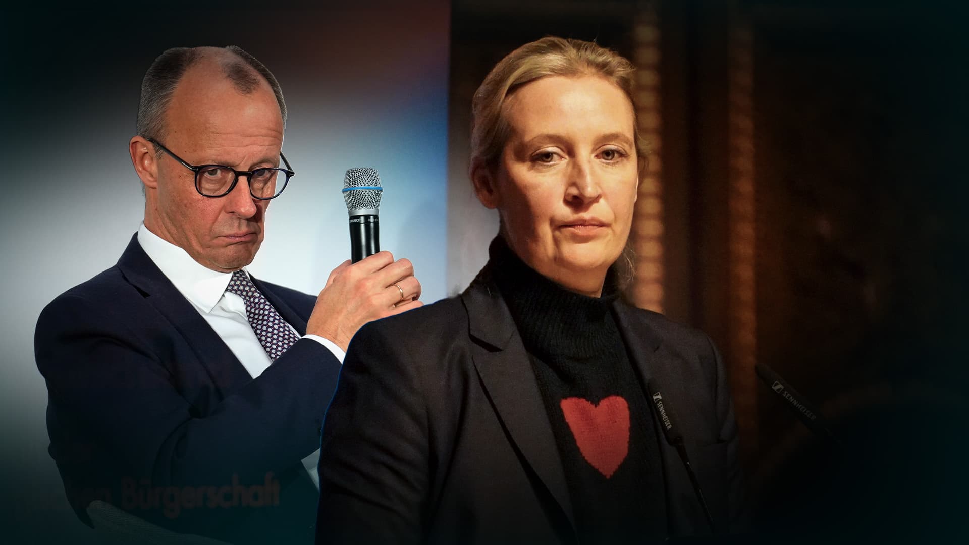 „In staatspolitischer Verantwortung appelliere ich an Sie ...“: Weidel schlägt Merz Deal zur schnellen Grenzsicherung vor