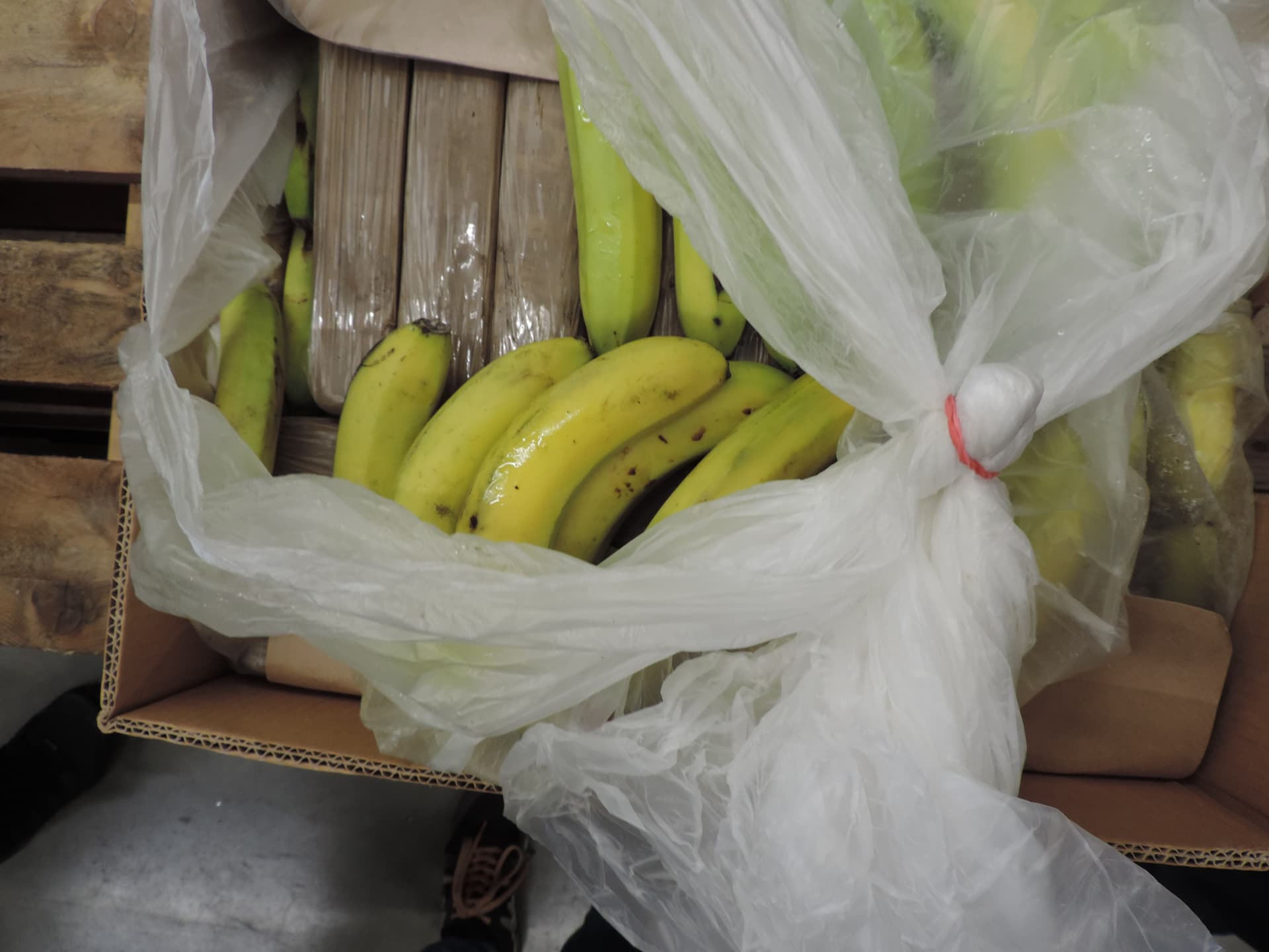 Tschechien: 650 Kilo Kokain in Bananenkisten entdeckt