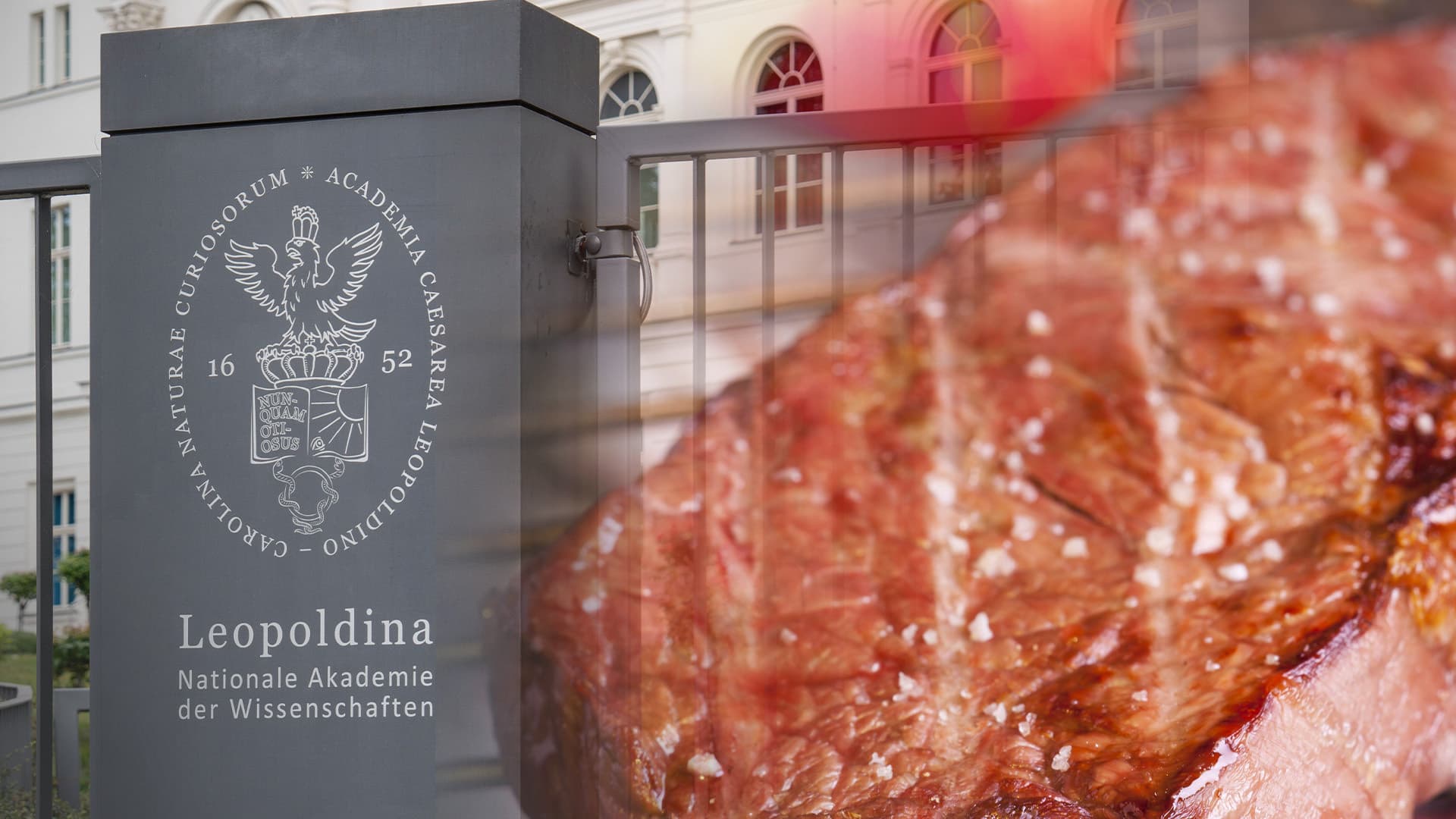 Die Lockdown-Einpeitscher von der Leopoldina wollen jetzt unser Fleisch teurer machen