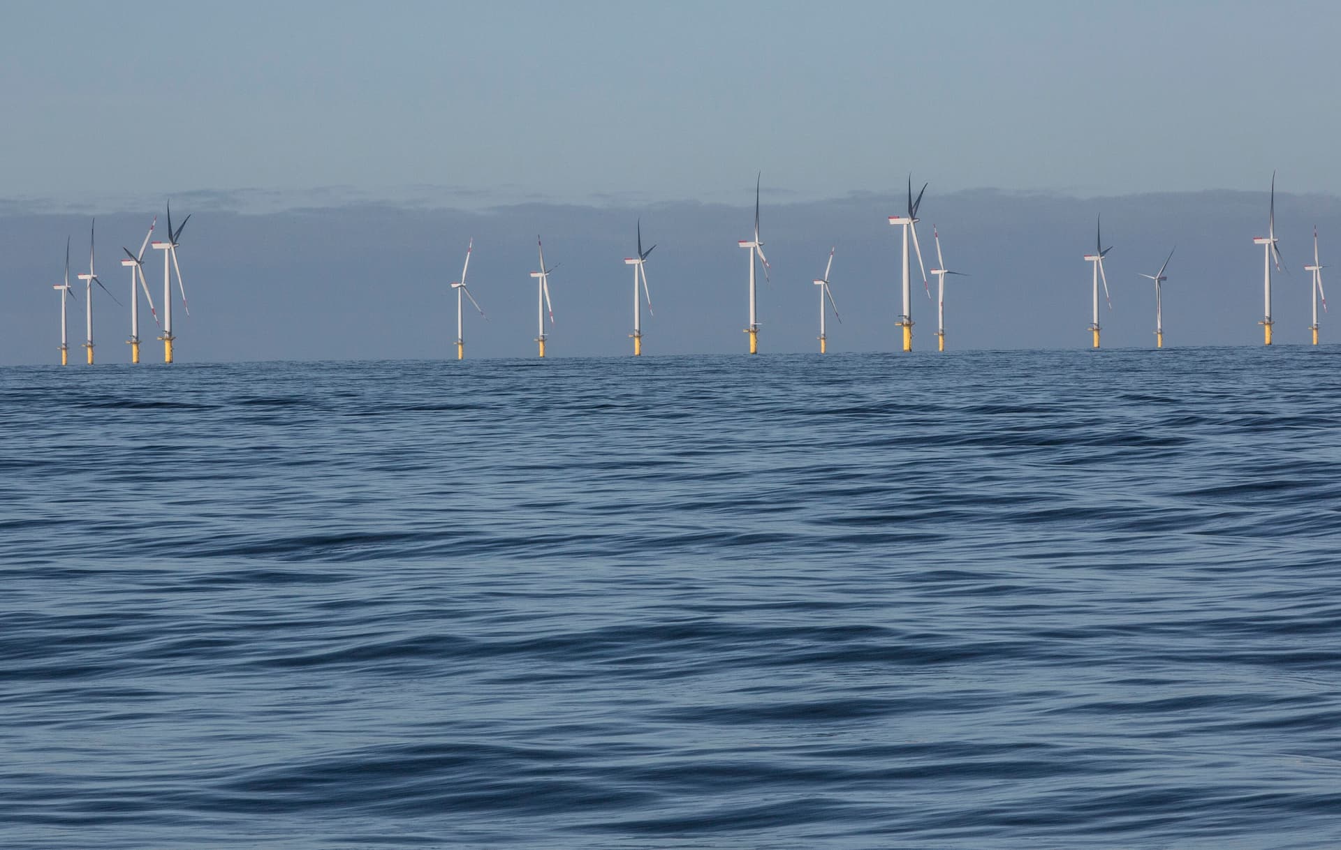 Energiewende-Flop in der Nordsee: Investoren wollen Riesen-Windparks doch nicht bauen