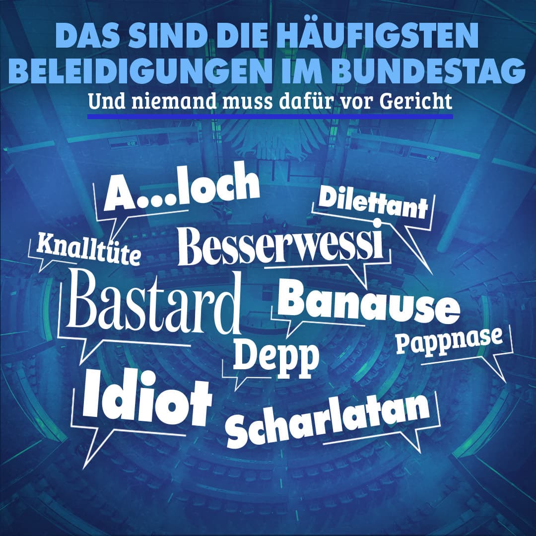 Das sind die häufigsten Beleidigungen im Bundestag – und niemand muss dafür vor Gericht