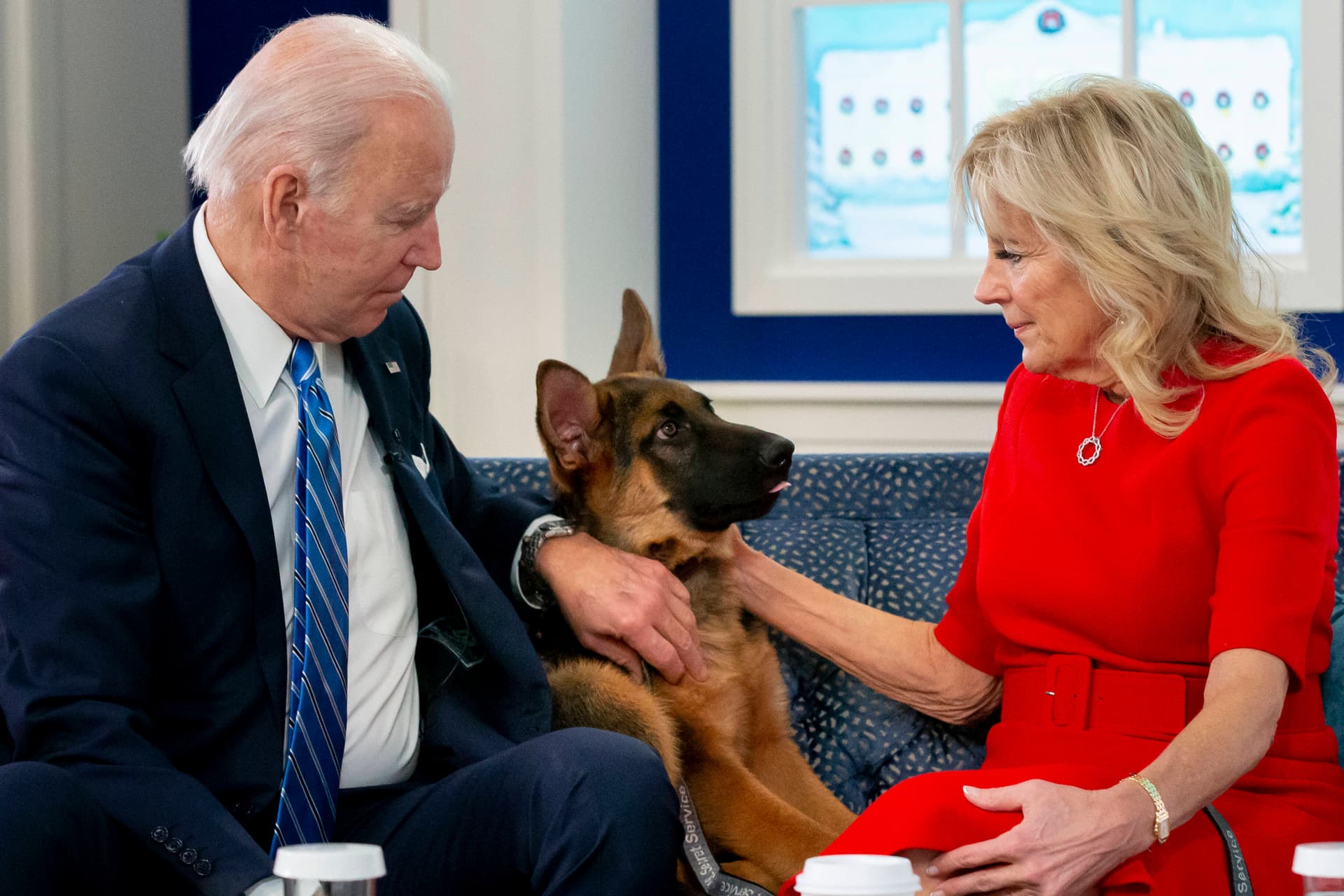 Bidens Schäferhund ist zu bissig: Rauswurf aus dem Weißen Haus