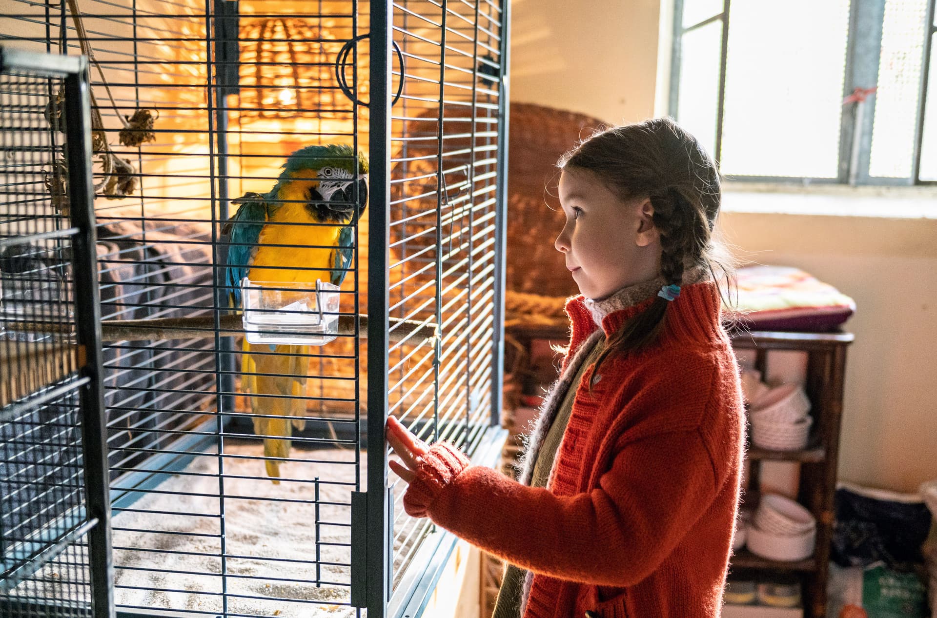 Natürlich gab‘s Geld von der Filmförderung: Arte sendet grottenschlechte Satire über Nazi-Papagei