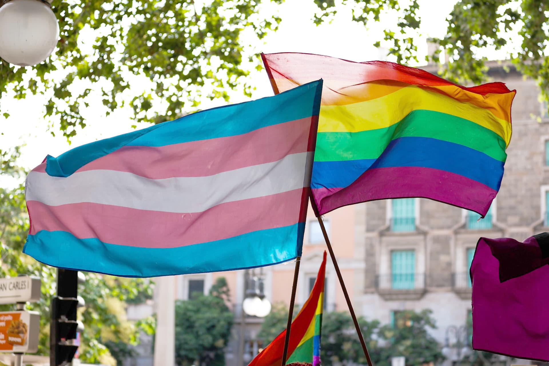 Heteros als neue Minderheit? 40 Prozent dieser US-Universität sind queer – Tendenz steigend