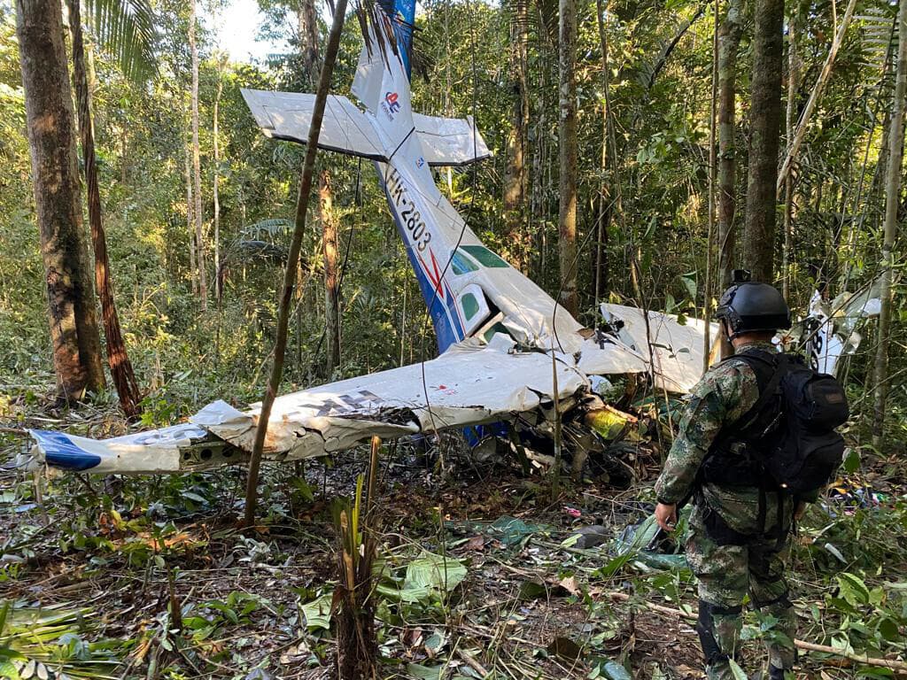 Wunder im Regenwald: Vermisste Kinder 40 Tage nach Flugzeugabsturz lebend gefunden