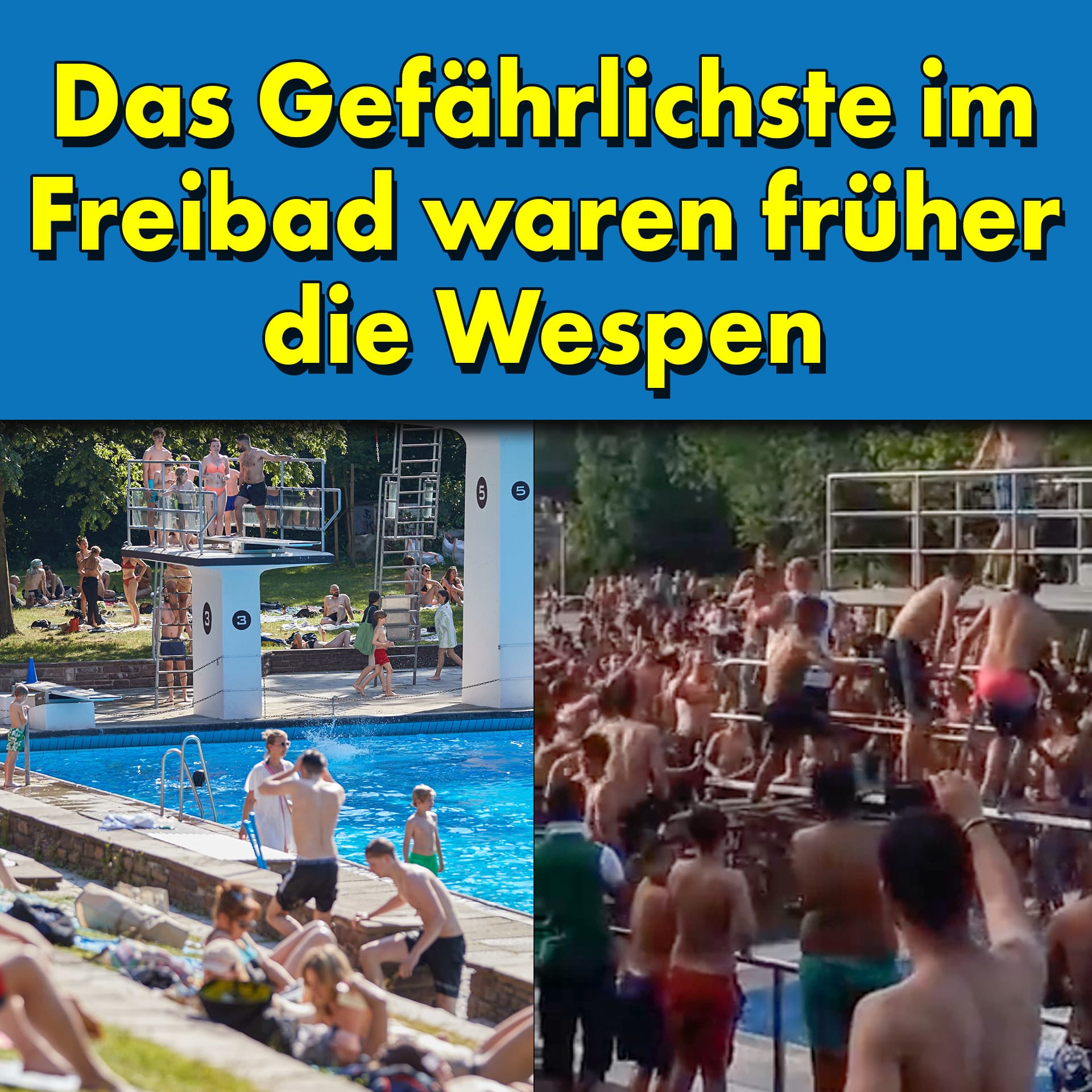 Das Gefährlichste im Freibad waren früher die Wespen