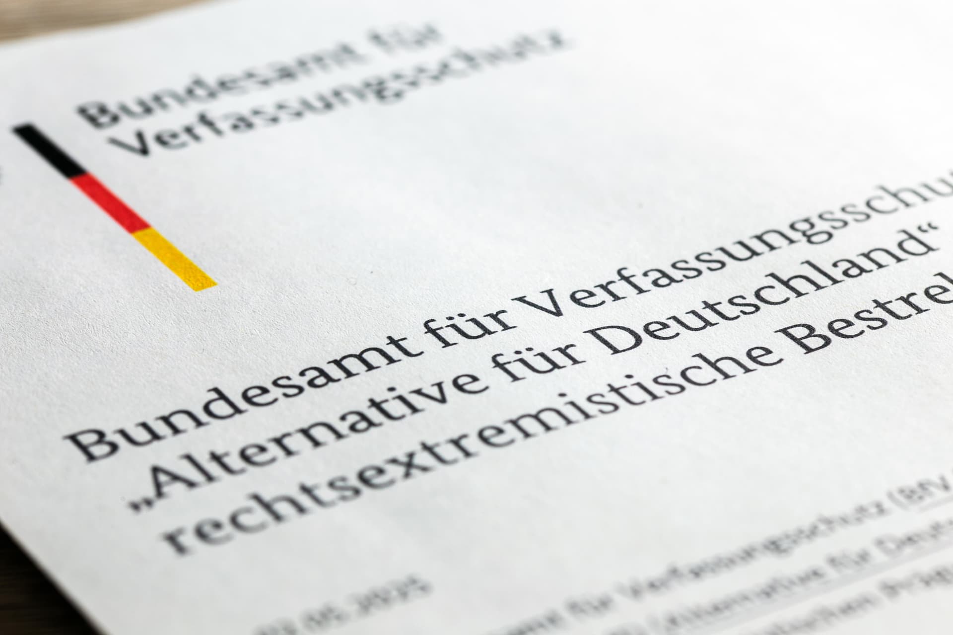 Plumpe Witze, doofe Sprüche: 10 vollkommen absurde neue Beispiele aus dem Geheim-Dossier über die AfD