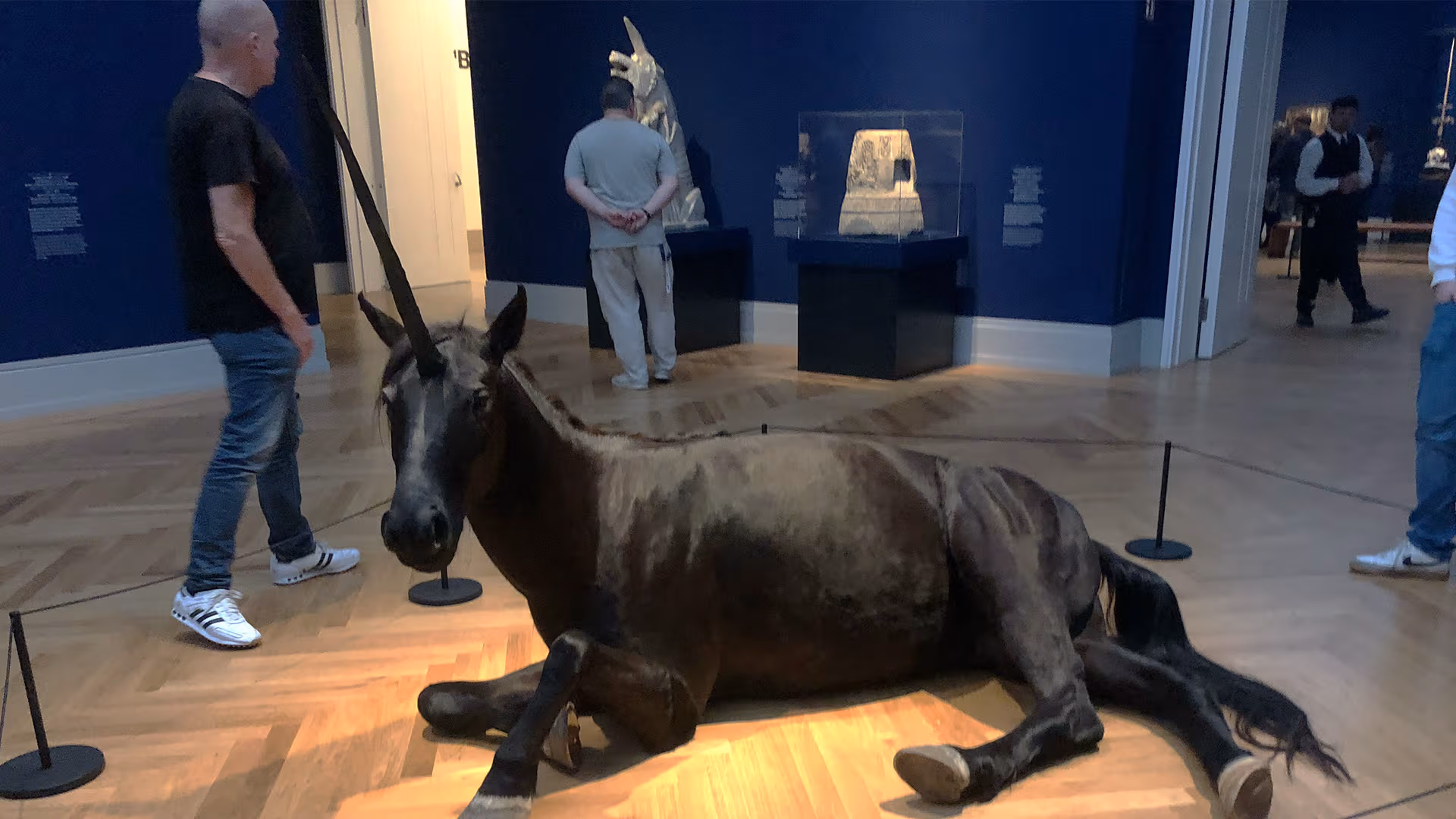 Geheimnisvolles Einhorn: Das schönste Tier der Welt lebt jetzt in Potsdam