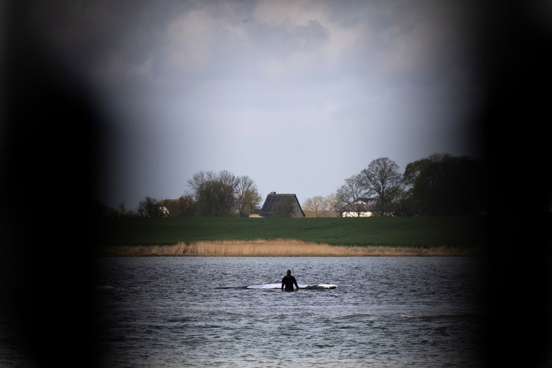 Der Wal ist frei! Buckelwal „Timmy“ in der Nordsee freigesetzt