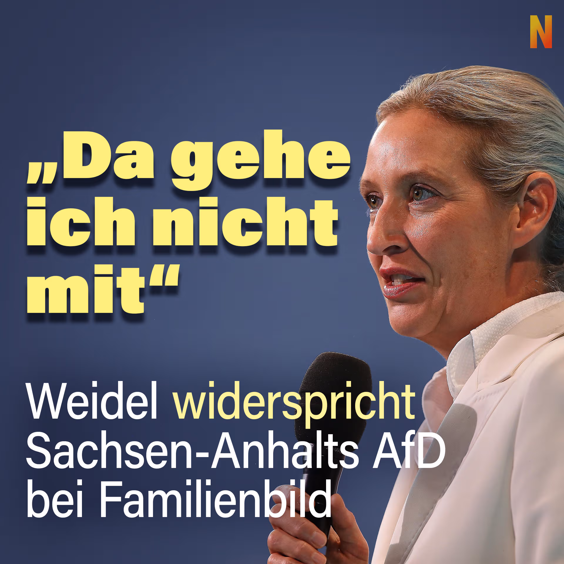 „Da gehe ich nicht mit“: Weidel widerspricht Sachsen-Anhalts AfD bei Familienbild