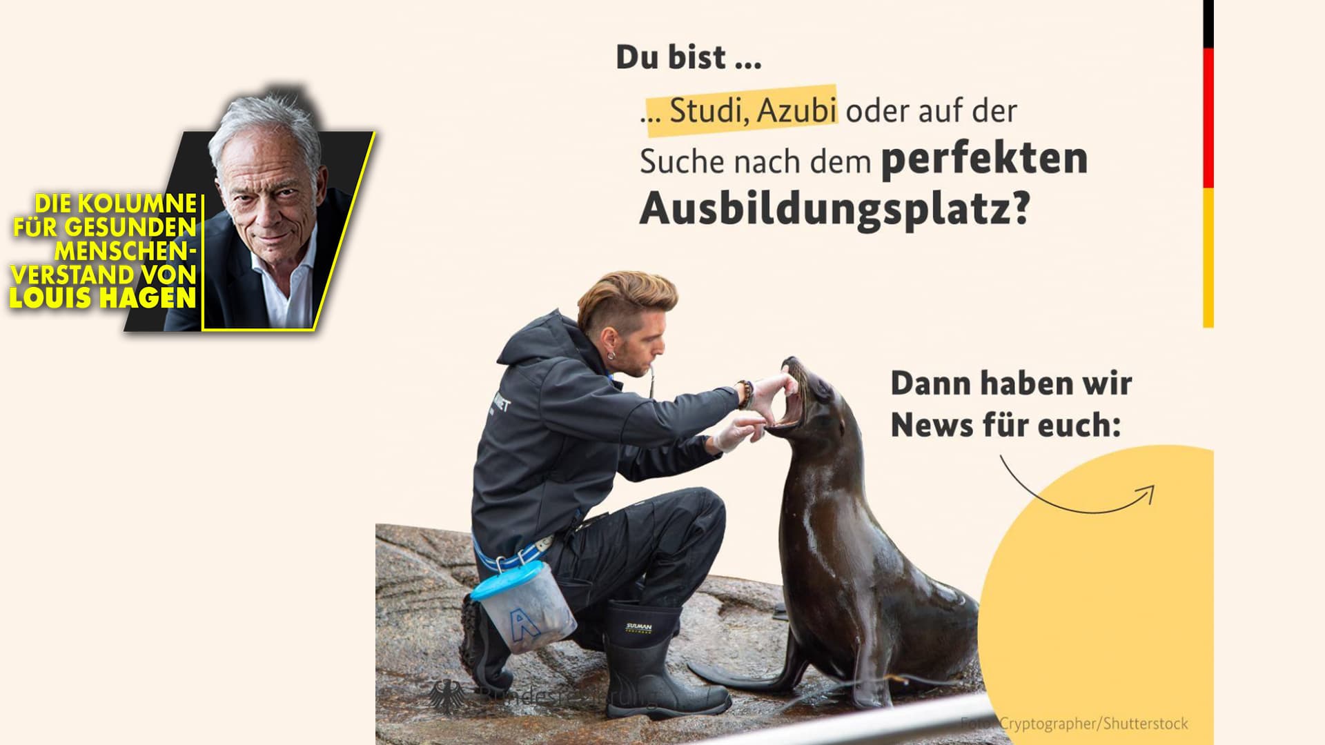 Schau doch mal der Robbe ins Maul: Irre Personalwerbung der Bundesregierung!