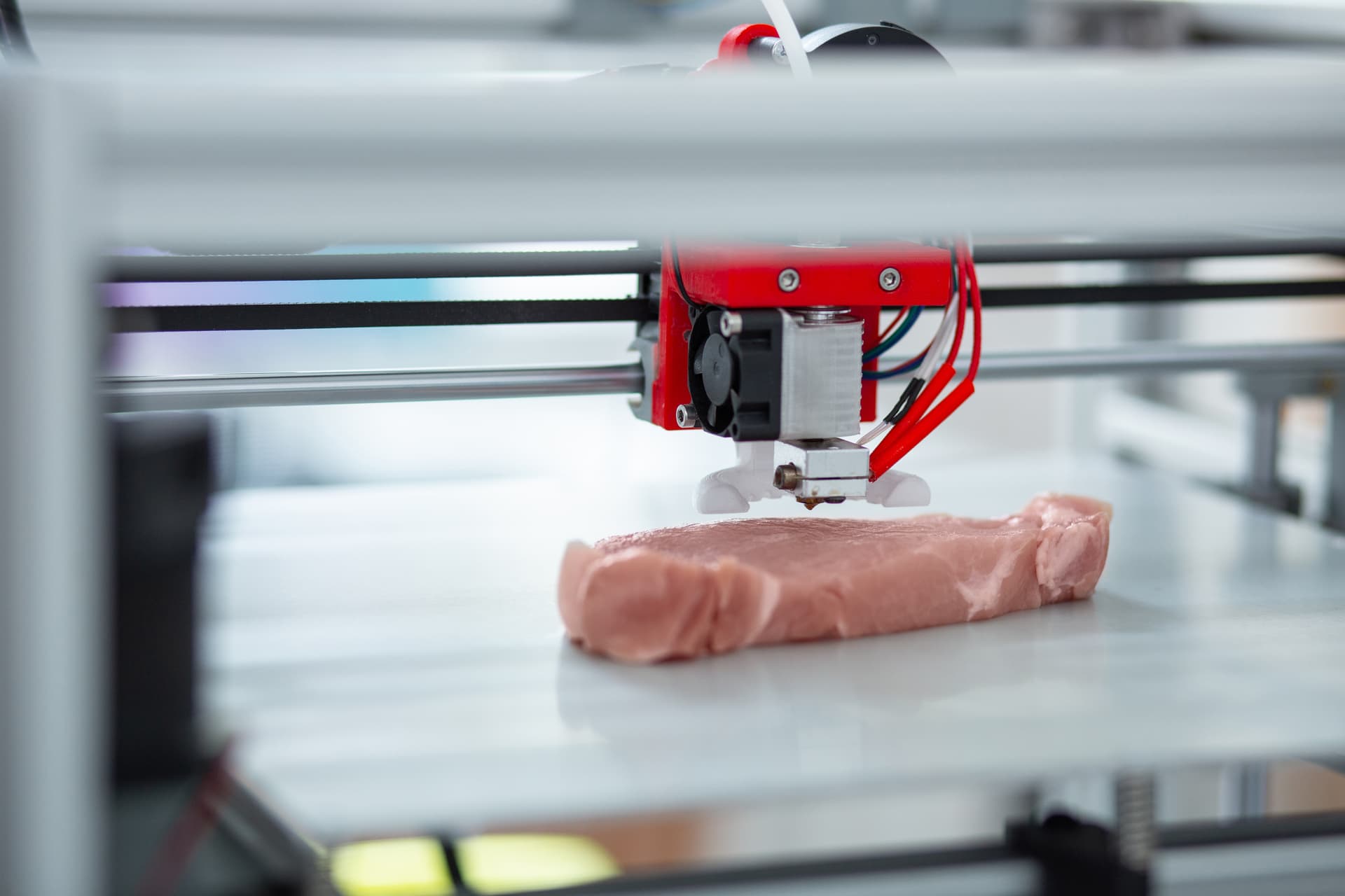 Fleisch aus dem 3D-Drucker: Kommt der Fleischersatz bald in den Handel?