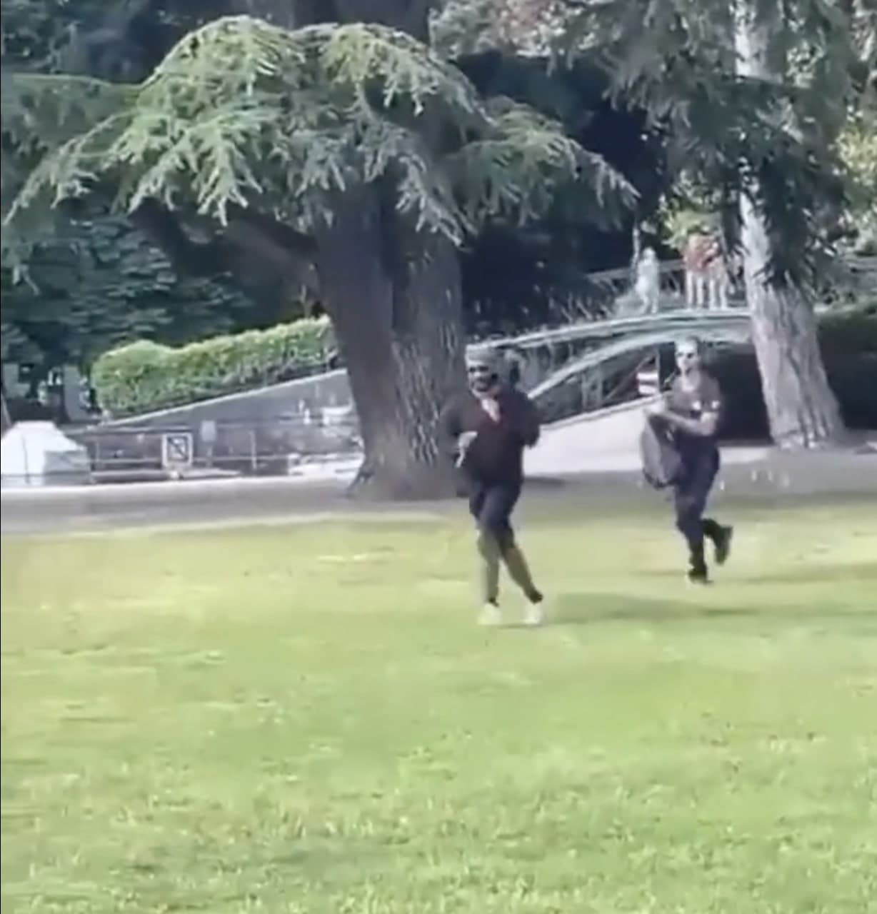 Frankreich unter Schock: Syrer sticht Kinder in Park nieder