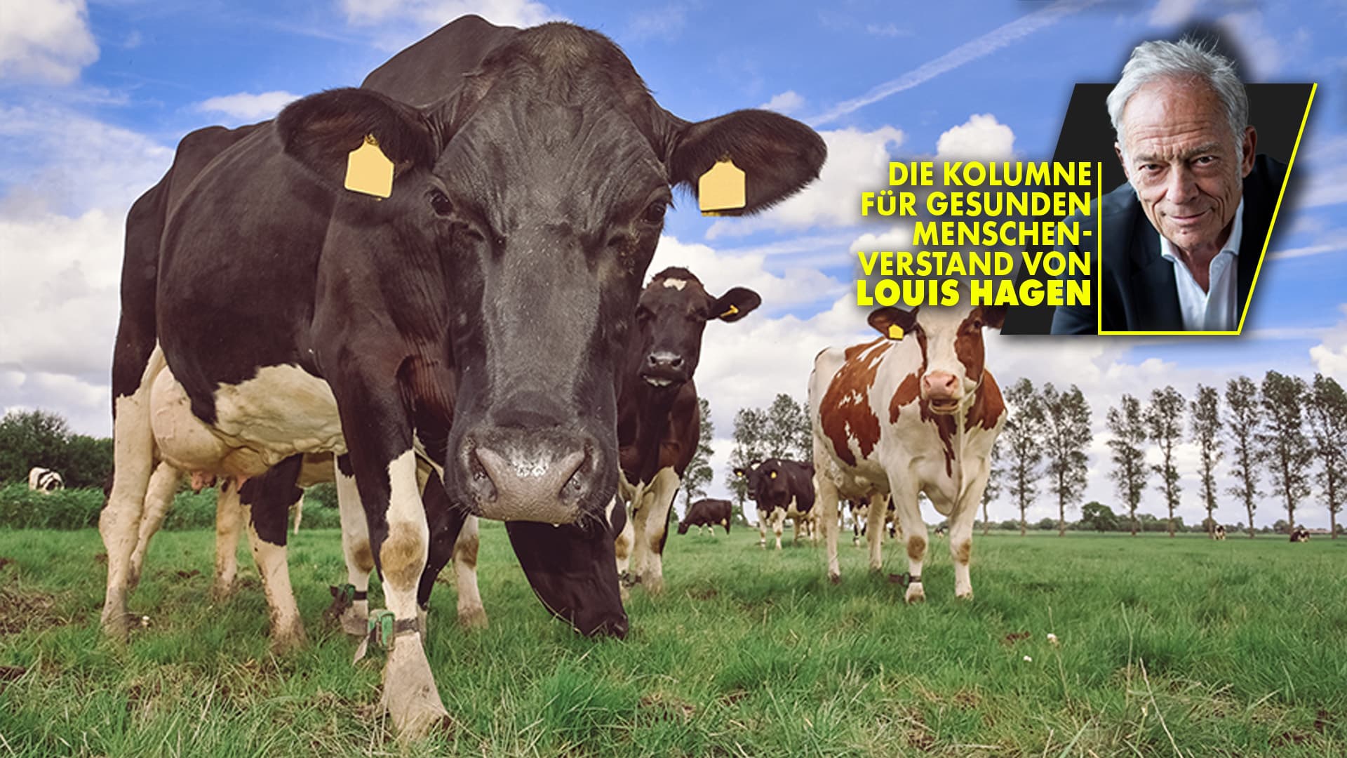 Quinoa-Quatsch & Mandel-Murks: Nichts schlägt echte Milch!