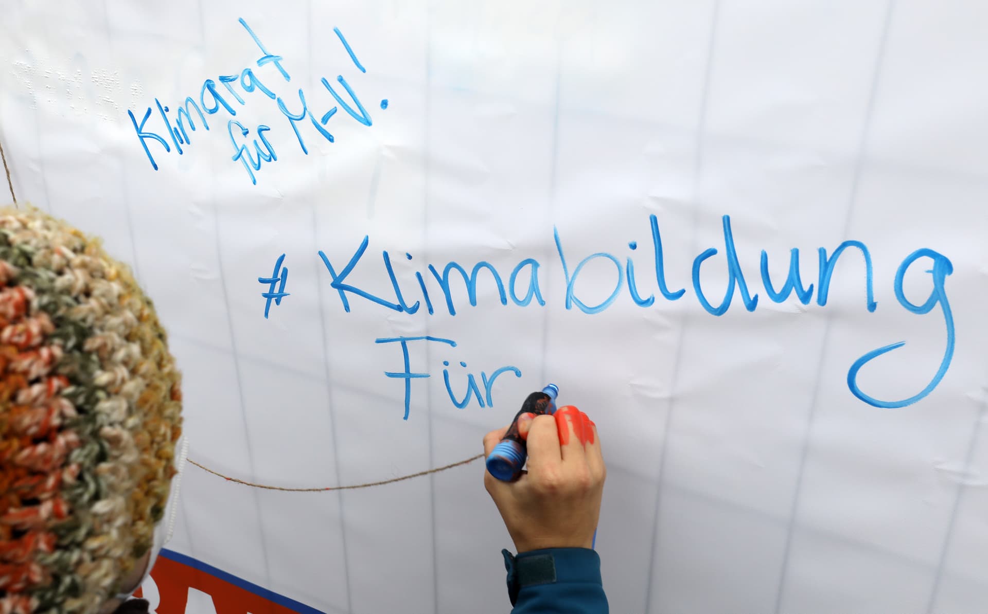 Psychologin schlägt Alarm: Verpflichtende Klimabildung für alle notwendig!